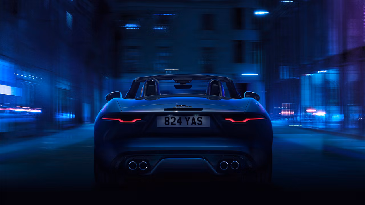 X15224GL_303101393_018_PR